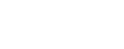 DVS